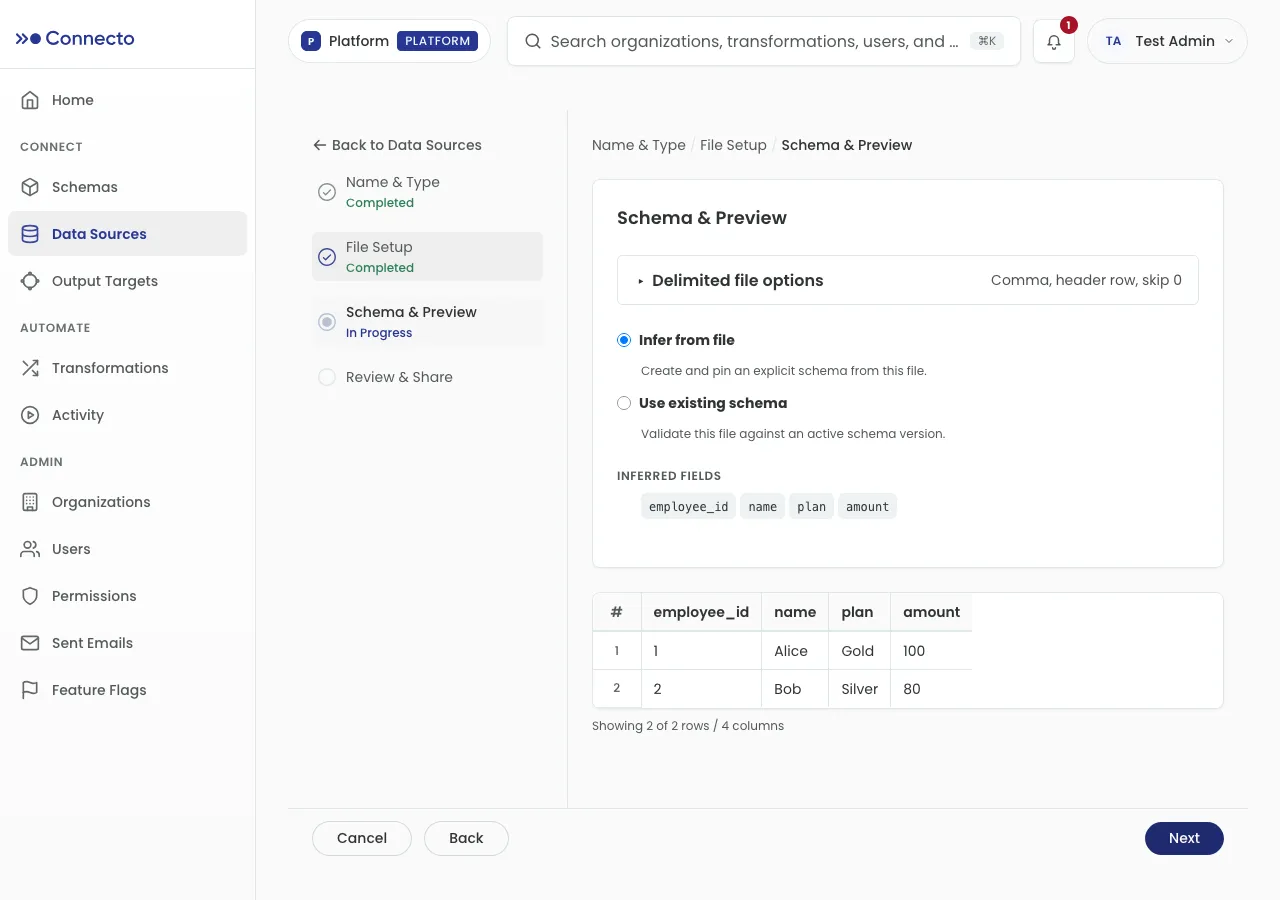 Step 3: inferred fields and a preview table of the uploaded rows